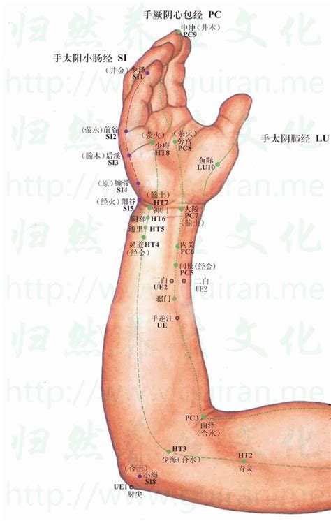 天谷穴|天谷在人体什么位置